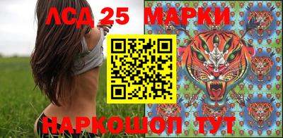 бошки Сланцы