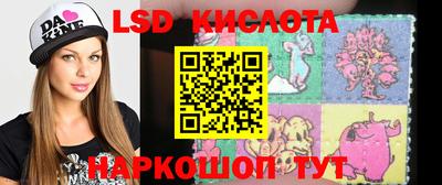 бошки Сланцы