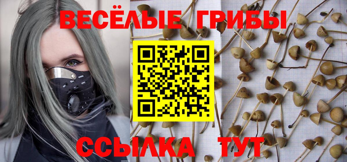 Псилоцибиновые грибы мицелий Норильск